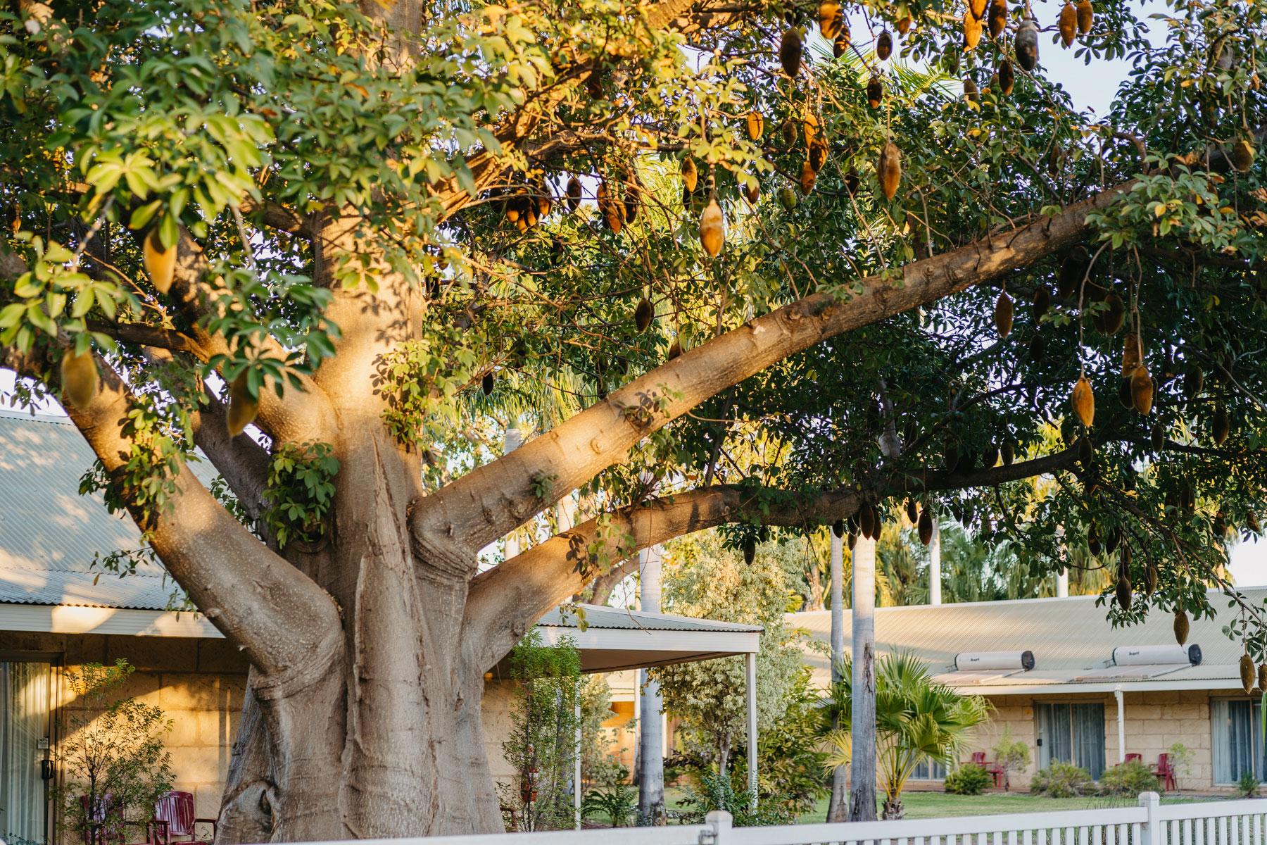The Kimberley Grande Resort Kununurra Exterior photo