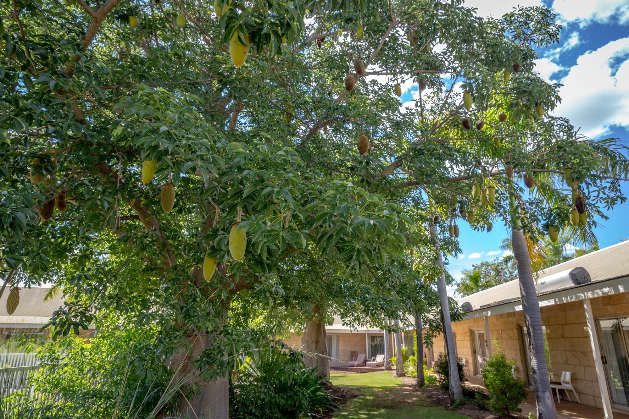 The Kimberley Grande Resort Kununurra Exterior photo